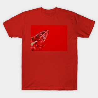 The Chameleon T-Shirt